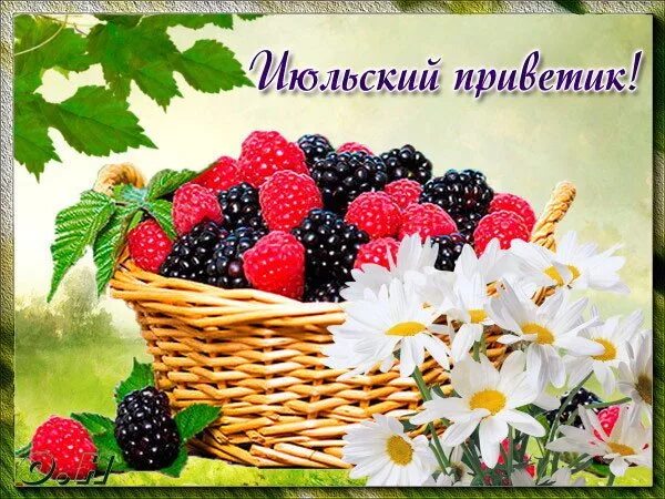 Открытки с летним приветиком. Июльский приветик. Открытки с 1 июля. Июльский приветик. Июльский приветик с добрым.
