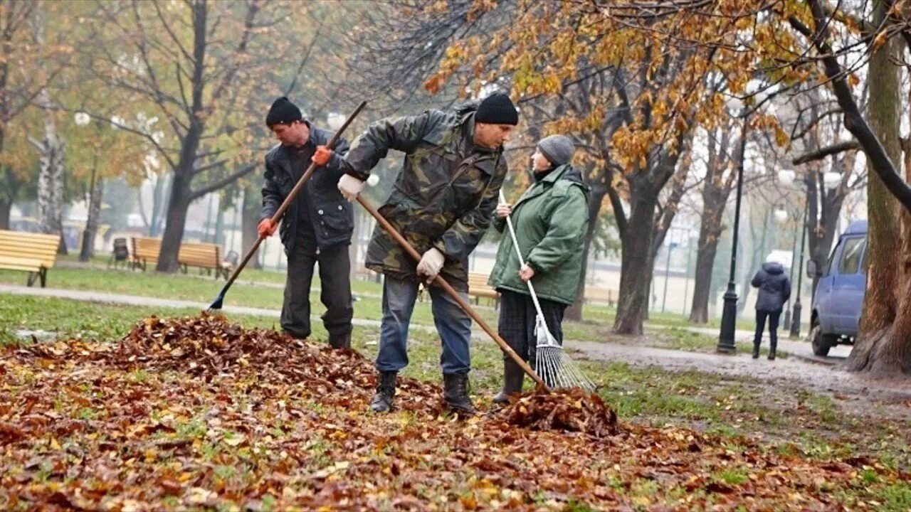 Уборка листьев. Труд людей осенью. Уборка листьев в саду осенью. Уборка листьев в городе. Замечали с трудом