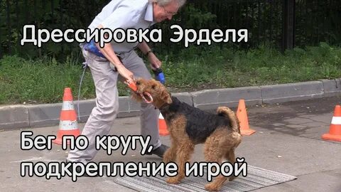 Подкрепление не прислали слушать