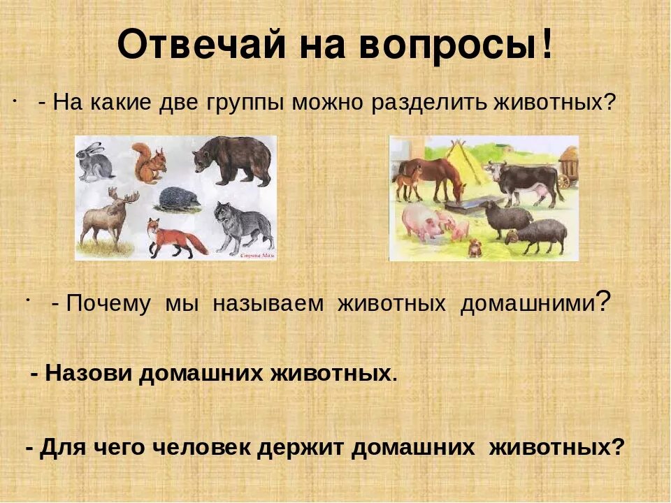 Тема в разделе ответил