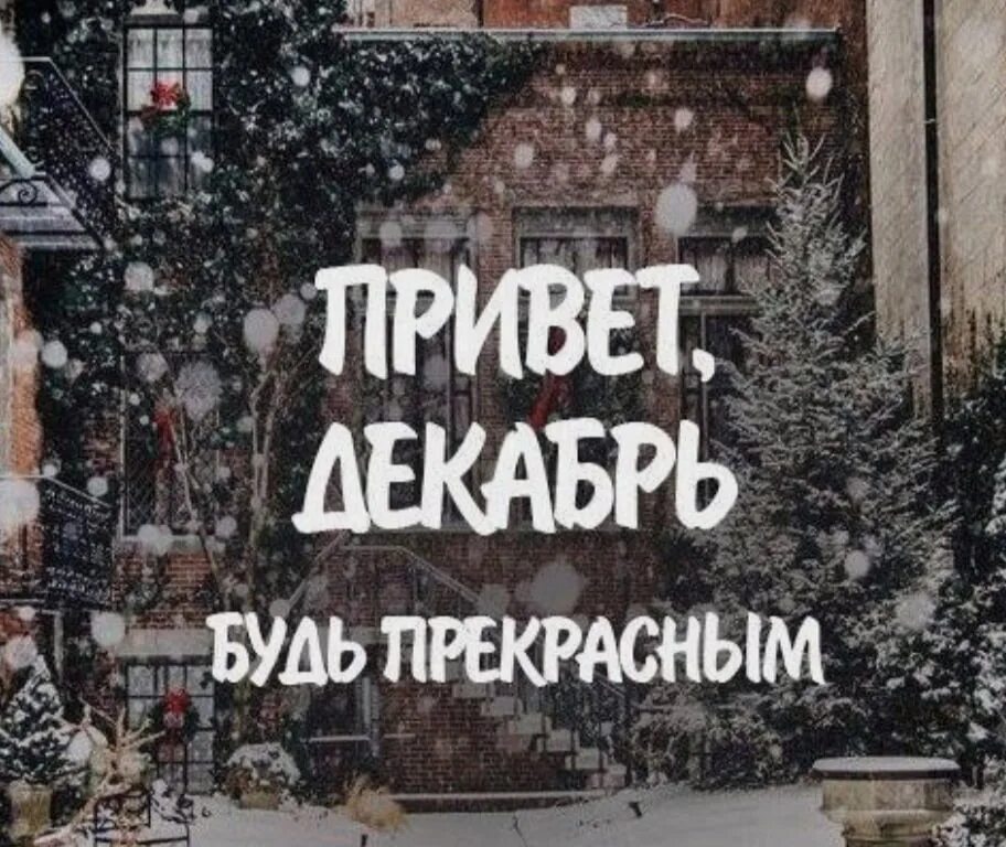 Особенный декабрь. Привет декабрь. 1 декабря привет зима. цитаты про декабрь. с первым днем зимы стильные.