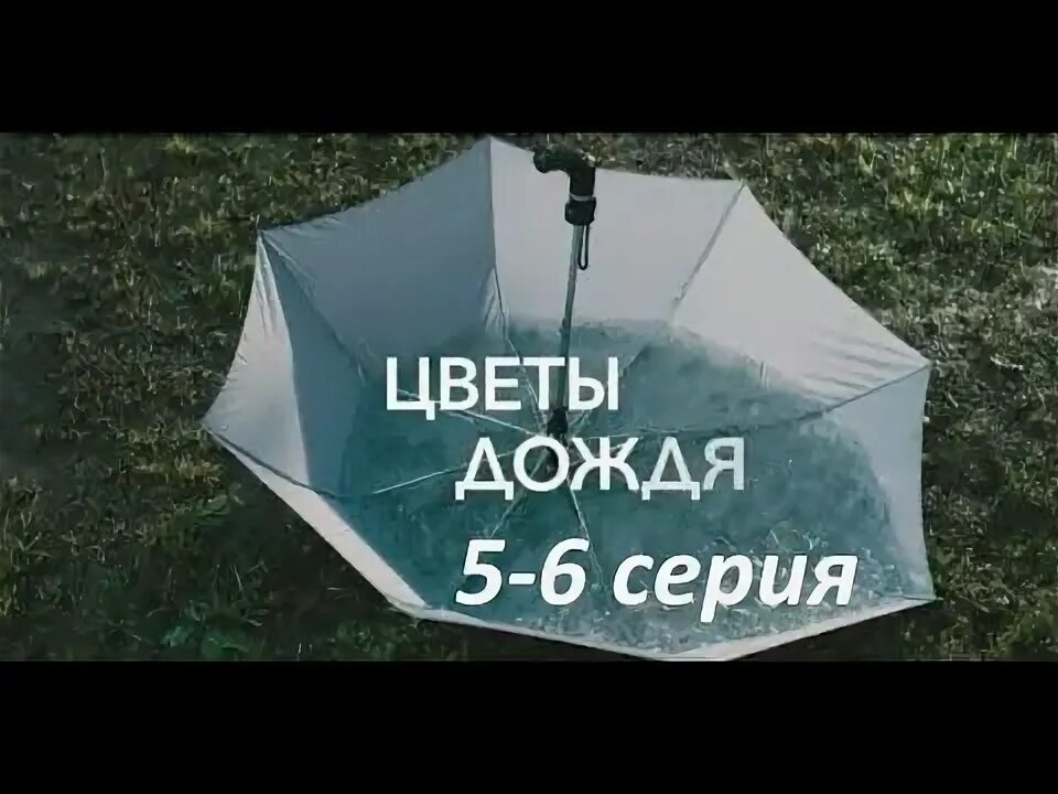 Цветы дождя похожие. Цветы дождя похожие. Цветы дождя похожие. Цветы дождя похожие. Цветы дождя похожие.