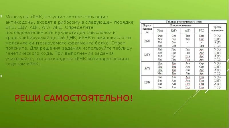 Молекулы трнк несущие соответствующие