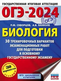 Огэ 2024 красноярский край