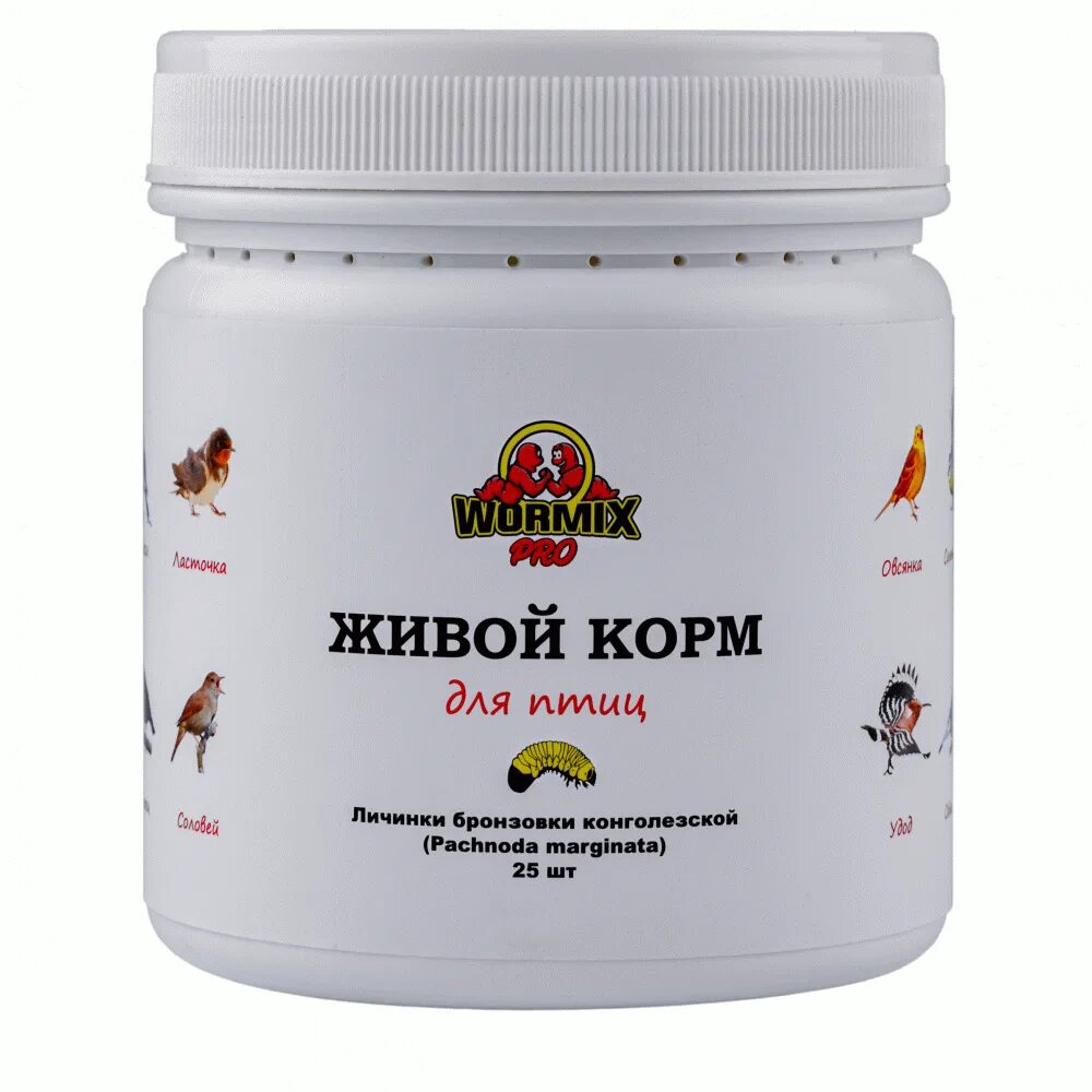 Корм для рыб из мотыля. Мотыль трубочник дафния. Живой корм москва. Корм для личинок. Мотыль живой.