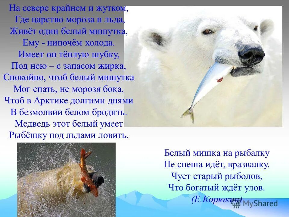 книга про умку. стихи про белог медведя. стих про белого медведя для детей. стихи про животных севера для дошкольников. книжка про умку медвежонка.