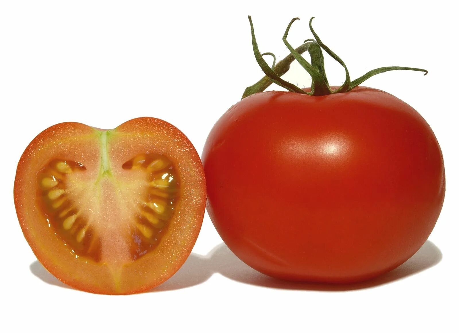 Two tomatoes. Ликопин в томатах. Помидор один. Ликопин в помидорах. Томат в 2d.