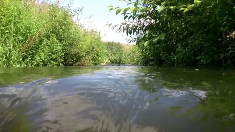 Внизу шумела речка
