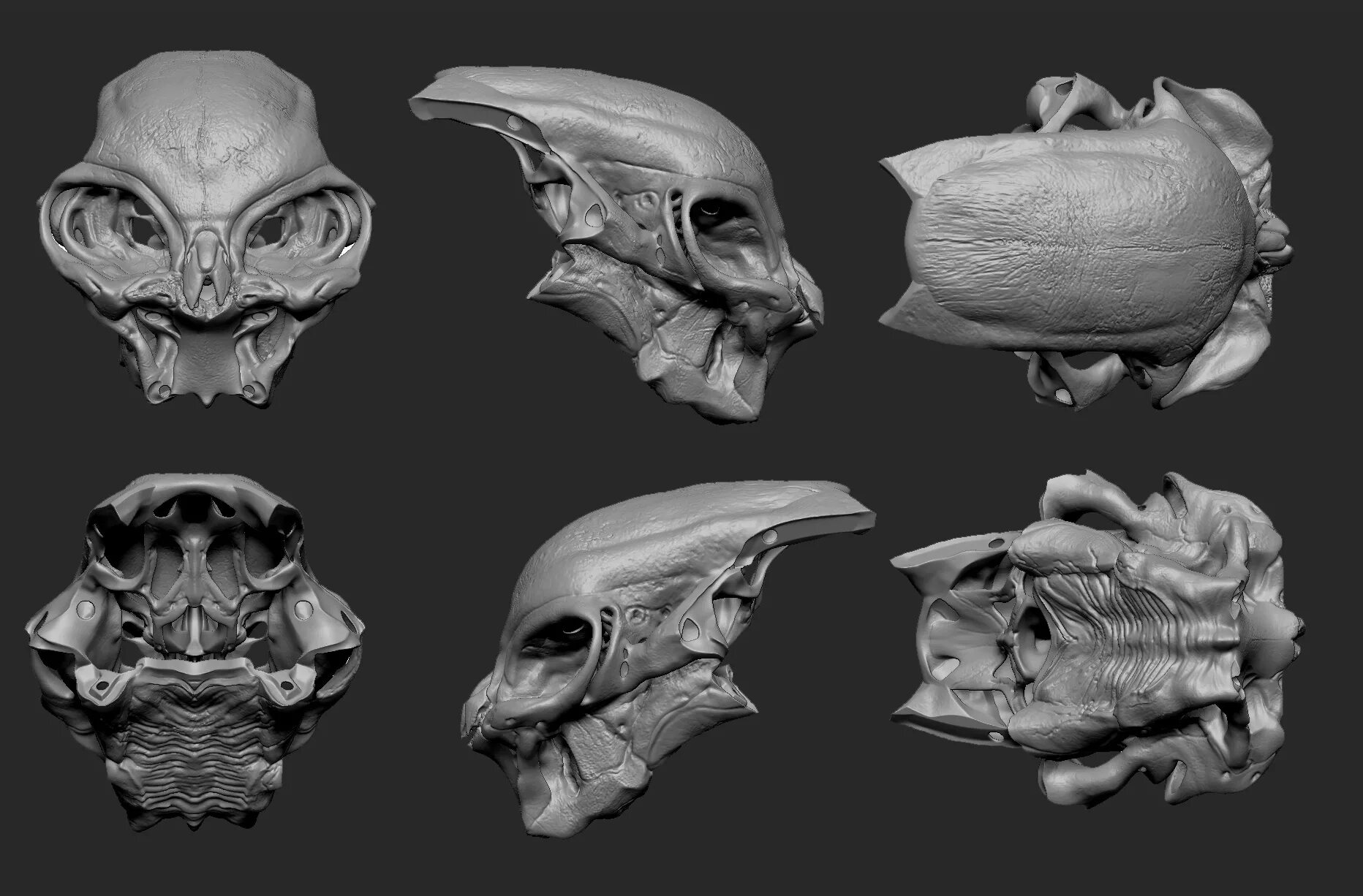 Череп три рыбы. Европейский удильщик скелет. Череп козла 3d модель. Череп три рыбы. Череп три рыбы.