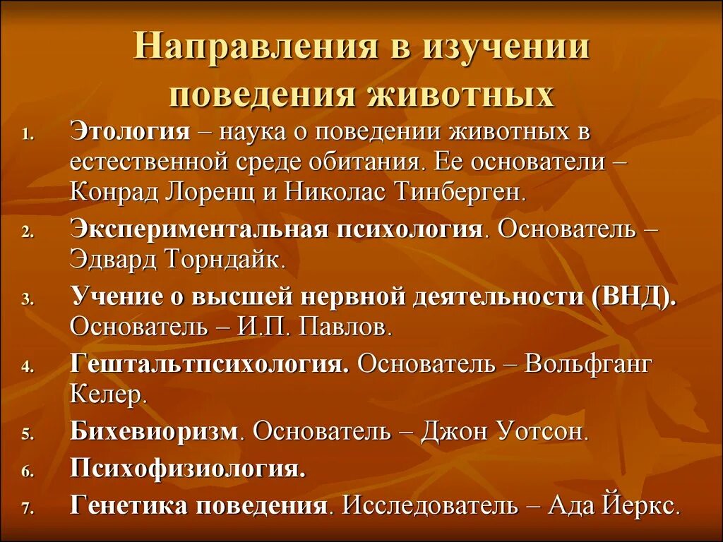 Основные тенденции исследования. Направления в изучение поведения животных. Наука изучающая поведение животных. Направления науки о поведении животных. Основные направления науки о поведении животных.