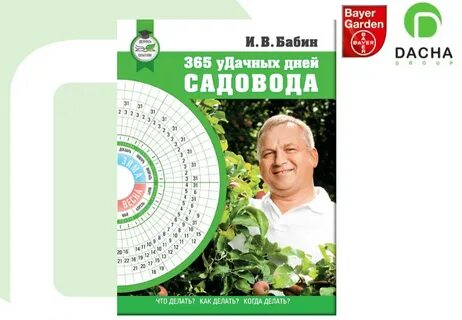 Книга 365 дней читать