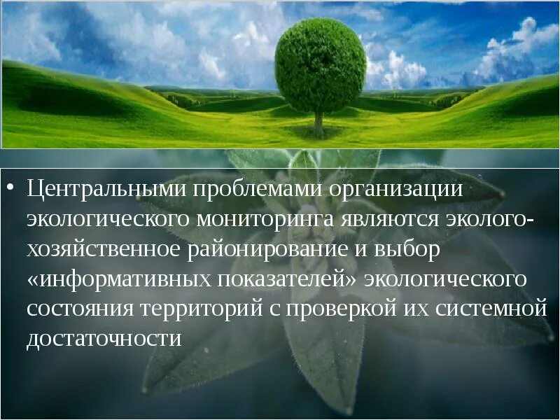 Информация о состоянии окружающей среды относится. Презентация на тему экологический мониторинг. Мониторинг экологической среды. Мониторинг состояния окружающей среды. Мониторинг окружающей среды презентация.