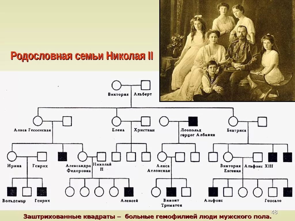 Родословная семьи Николая 2. Семейное Древо царской семьи Романовых.