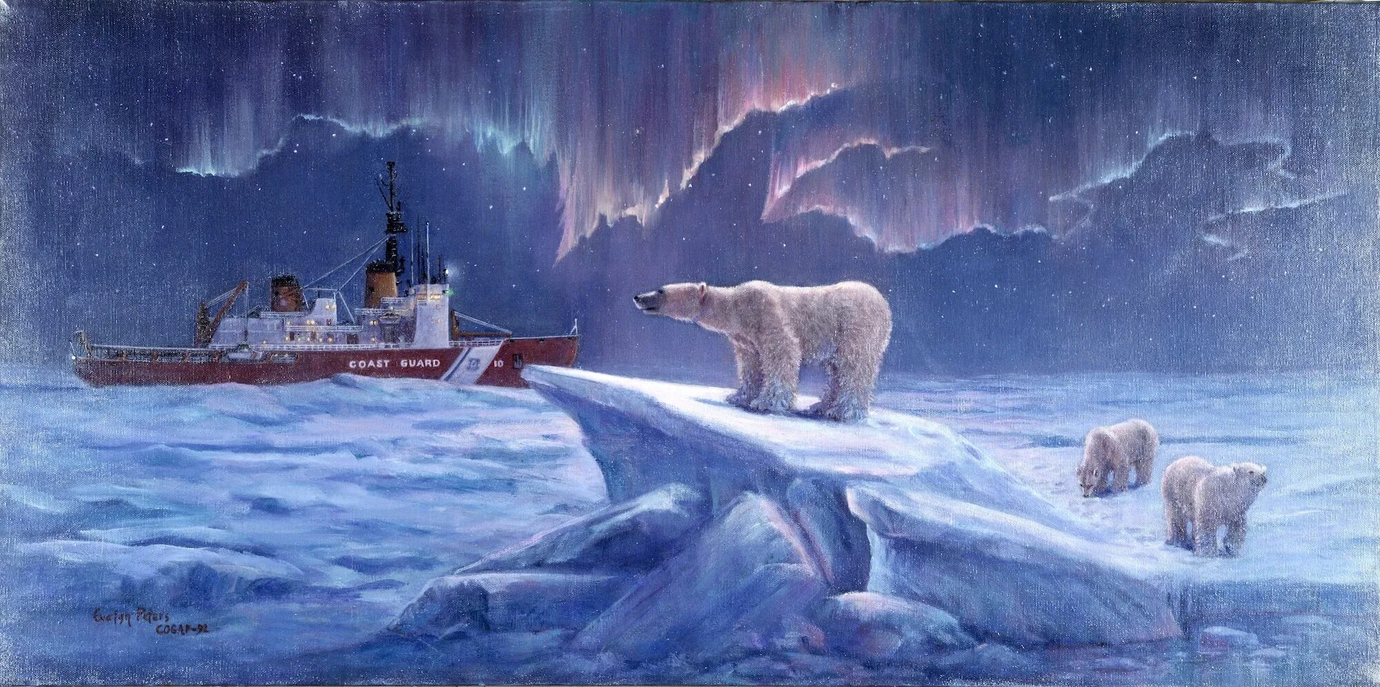 Северно Ледовитый океан Северное сияние. Северный полюс Северное сияние белый медведь. Северный полюс Арктика. Арктика пейзаж.