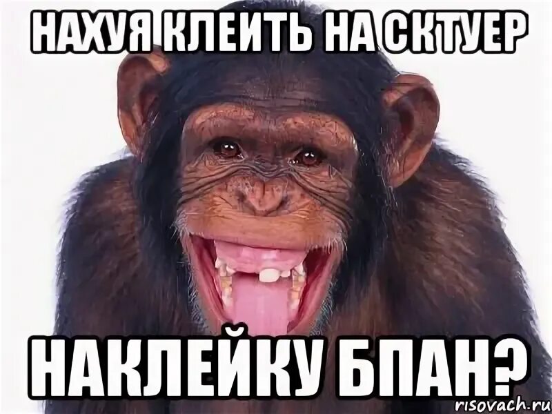 Обезьяна не понимает. Мемы с обезьянами. Обезьяна Мем. Стикер обезьяна Мем.