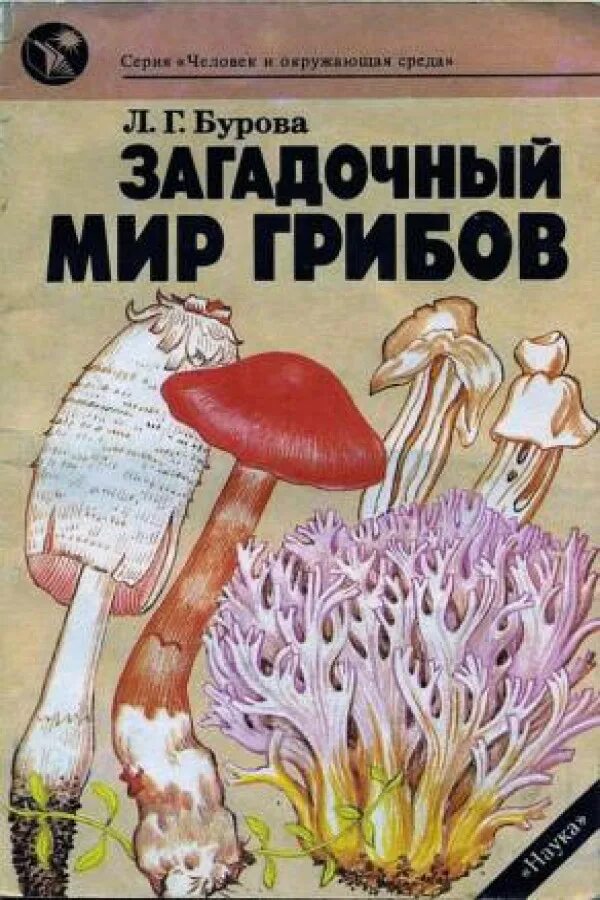 Загадочный мир грибов Бурова л.г. Книжка про грибы. Книги про грибы для детей. Книги о грибном мире. Загадочный мир книга