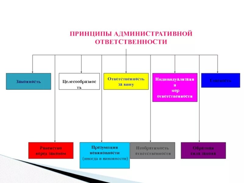 Признаки административной ответственности схема. Принципы адм ответственности. Функции адм ответственности. Понятие и принципы административной ответственности. 3 примера административной ответственности