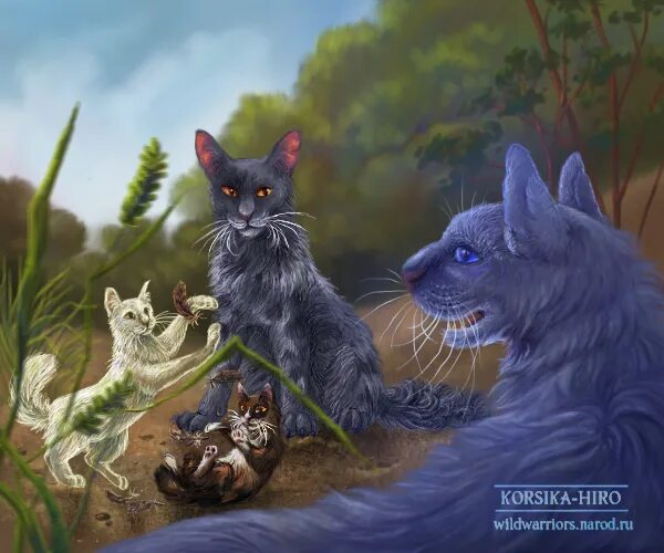 Коты воители знамение звезд. Медянка коты воители. Сердце пестролистой котя воители. Воители знамение. Воители знамение.