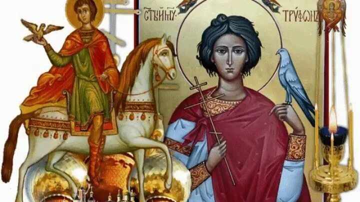 День святого трифона покровителя. Покровитель 14 февраля. Покровитель 14 февраля. С праздником святого трифона покровителя охотников. День св трифона покровителя.