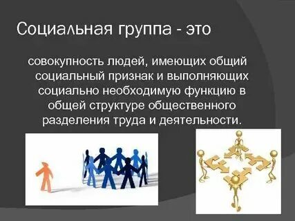 Совокупность людей объединенных общими интересами это