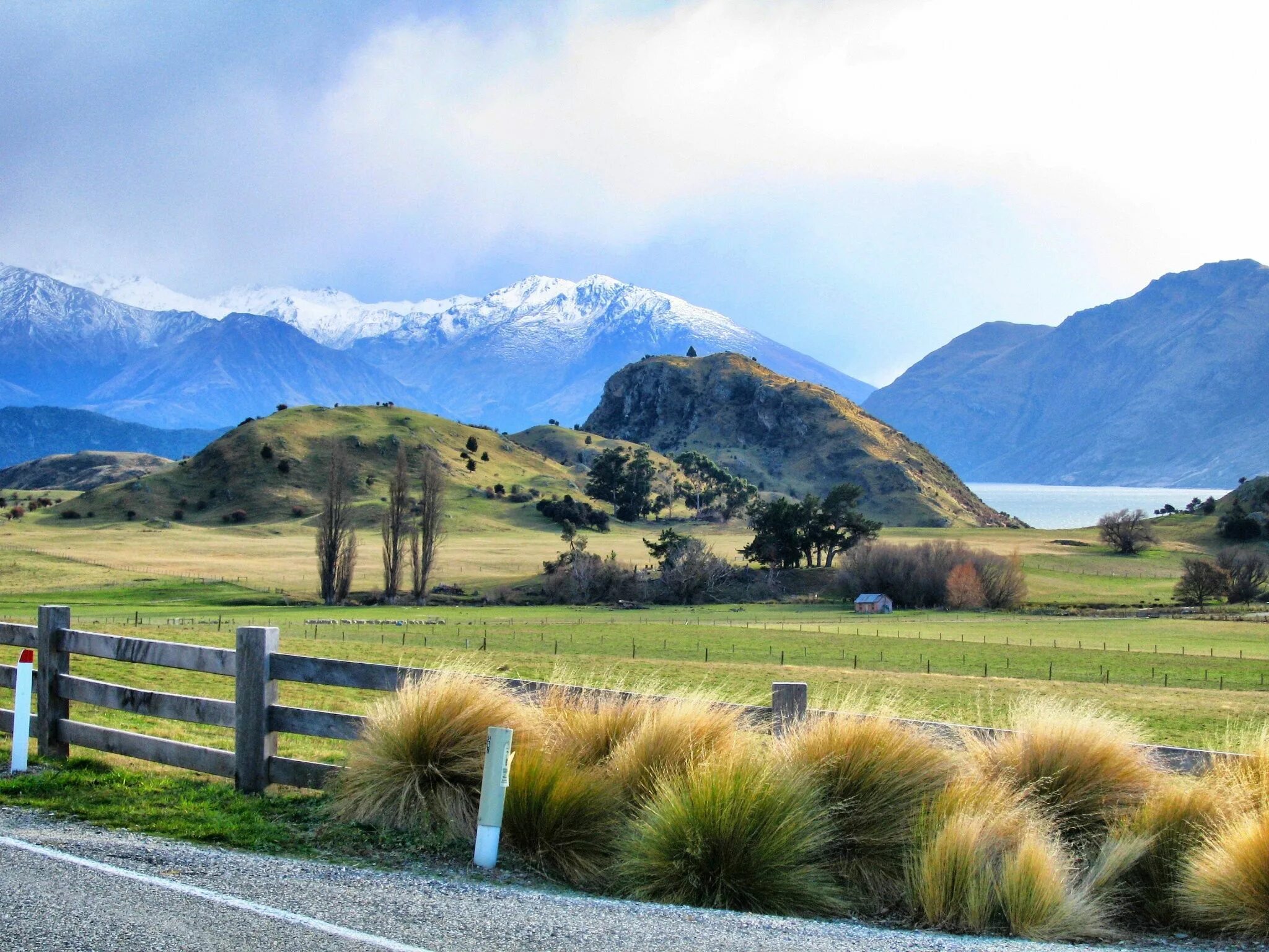 New zealand ответы. Новозеландия. Новая Зеландия ландшафт. Новая Зеландия равнины. Новая Зеландия ландшафи.