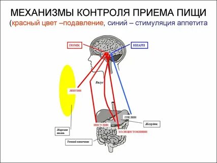 Механизм приема