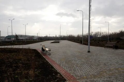 Плавица липецкая