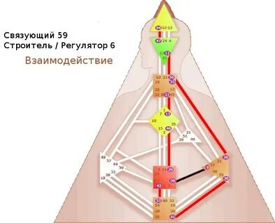 Регуляторы взаимодействия