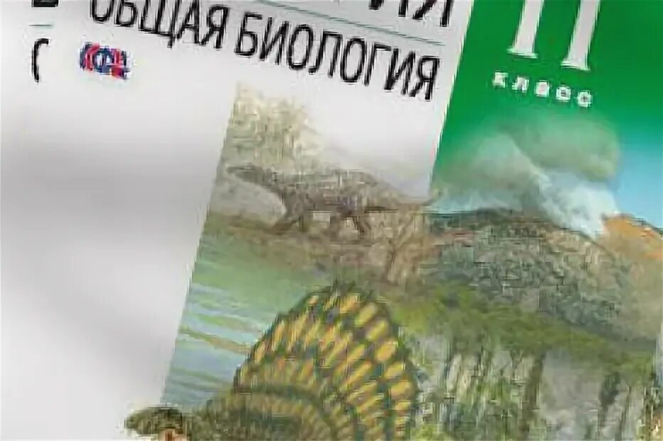 Захаров Мамонтов биология 11 класс углубленный уровень. Биология 11 класс учебник Захаров. Биология 11 класс учебник углубленный уровень. Биология 11 класс углубленный уровень Захаров. Углубленная биология 11 класс