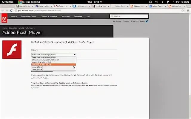 Microsoft flash player. Flash player ubuntu. adobe flash 2008. adobe flash media server. листик дерева для адобе флеш плеер.