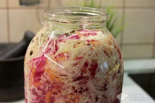 Капуста под железной крышкой на зиму:. Маринад для капусты. Салат с капустой на зиму. Капуста с яблоками на зиму в банках капроновыми крышками. Квашеная капуста в банке.