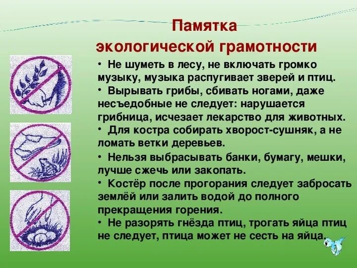 Какие правила экологической безопасности