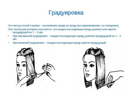 Длина волос схема