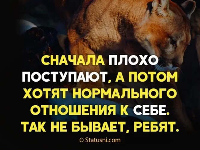 Сначала хреново поступают а потом хотят нормального отношения к себе. Сначала плохо поступают а потом хотят нормального отношения. Сначала хреново поступают а потом цитаты. Плохо поступил. Не хотела потом понравилось