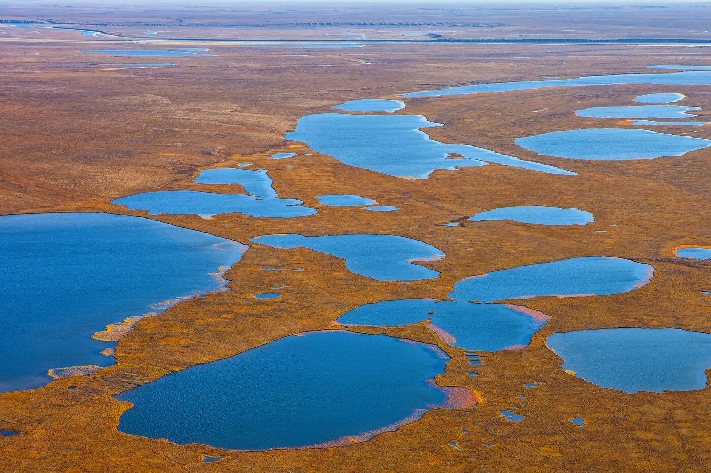 Полуостров Таймыр озёра. Озеро Таймыр Красноярский край. Реки полуострова Таймыр. Тундра летом на Таймыре.