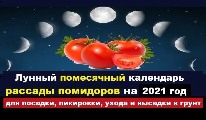 Какие дни можно сажать помидоры в апреле. Календарь пикировки помидор. Посадить помидоры на растущую луну. Календарь пикирования рассады помидор в апреле 2022. В году 2023 году помидорный год.