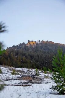 Карповка забайкальский край