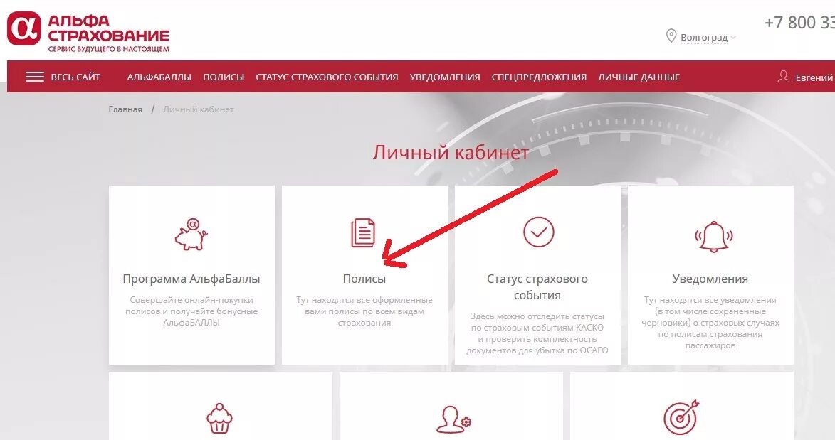 Узнать статус страхового. Альфа страхования ОСАГО личный кабинет. Страховой полис Альфа страхования. Номер страхового ОСАГО. Полис страхования в личном кабинете.