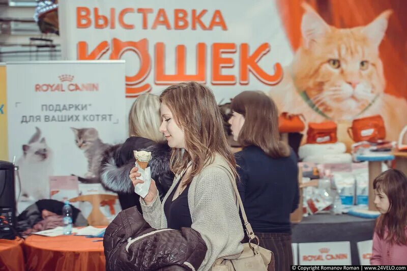выставка кошек 2022. выставка кошки петербурга. выставка кошек в красноярске 2021. выставка кошек ангарск. тц июнь выставка кошек.