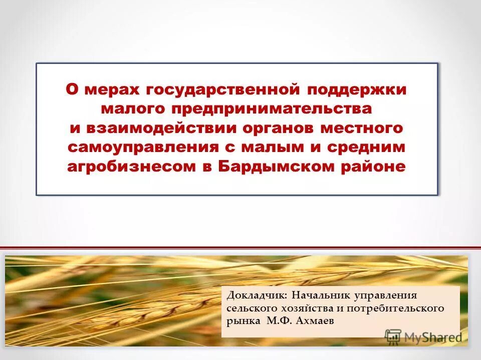 государственная поддержка местного самоуправления. государственная поддержка местного самоуправления. государственная поддержка местного самоуправления. местное самоуправление. местное самоуправление э.