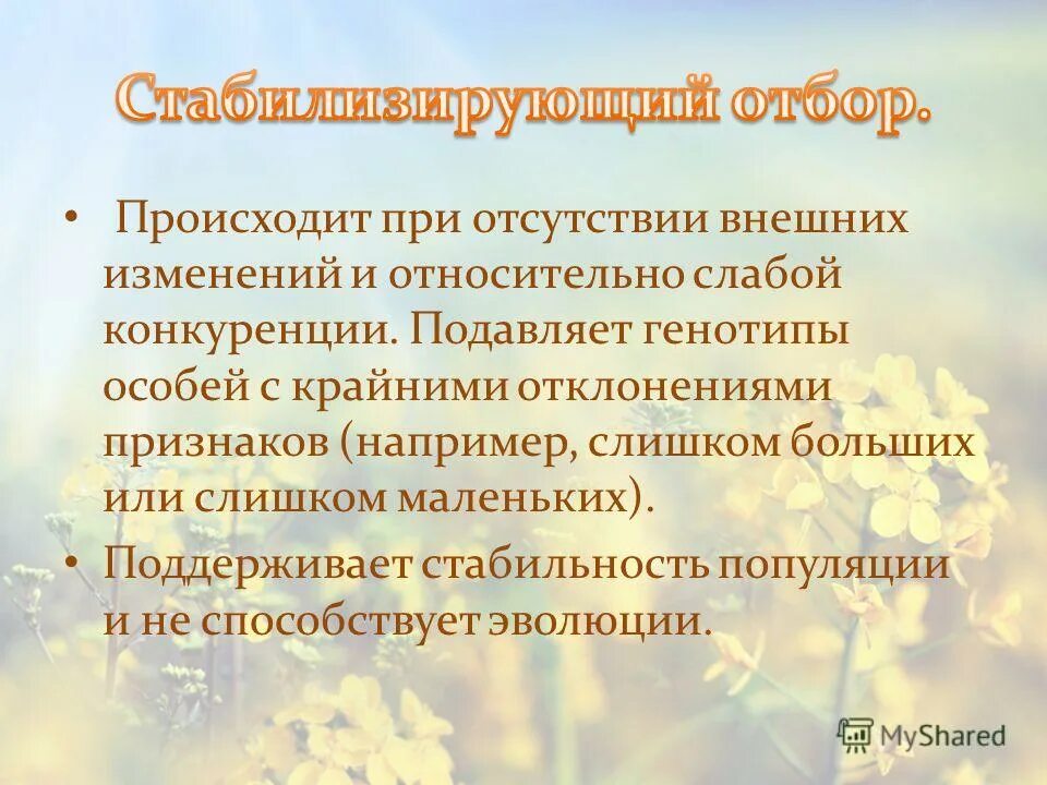 Естественный отбор происходит из за действия