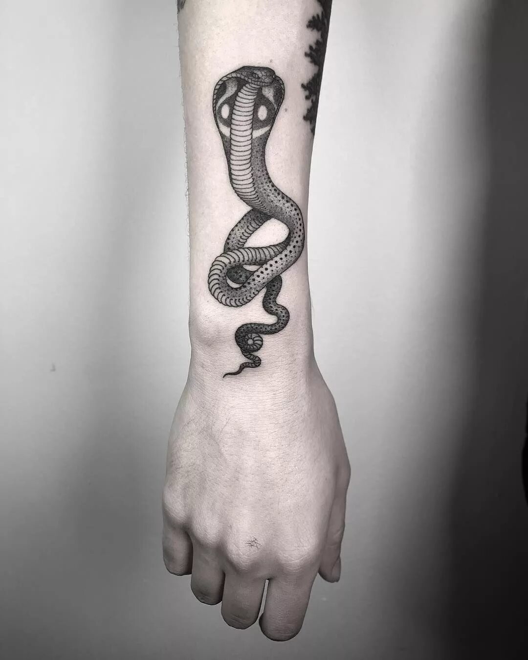 Тату маленьких змей. Тату змея на руке. Тату змея на руке мужской. Тату маленькой змеи на руке. Тату змея на руке маленькая.