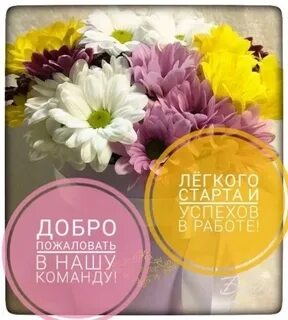Добро пожаловать на юг отзывы