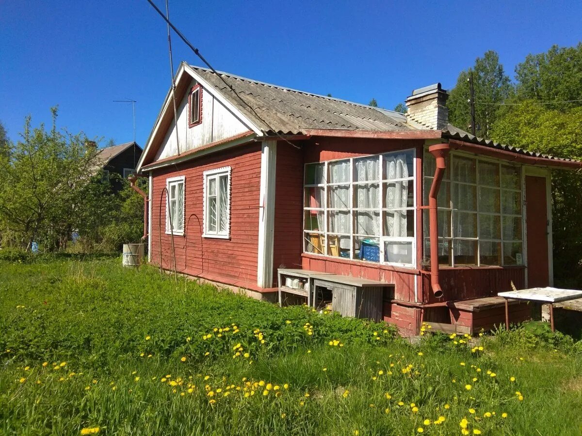 Цвелодубово достопримечательности. Цвелодубово ленинградская область выборгский район. Цвелодубово. Цвелодубово ленинградская область. Цвелодубово.