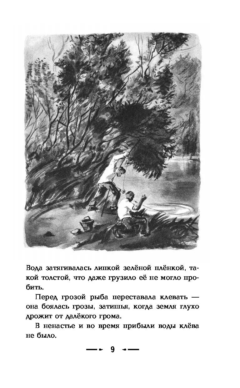 Произведение паустовского мещерская сторона. Паустовский Мещерская сторона. Мещерская сторона иллюстрации. Мещерская сторона иллюстрации к рассказу. Паустовский Мещерская сторона иллюстрации.