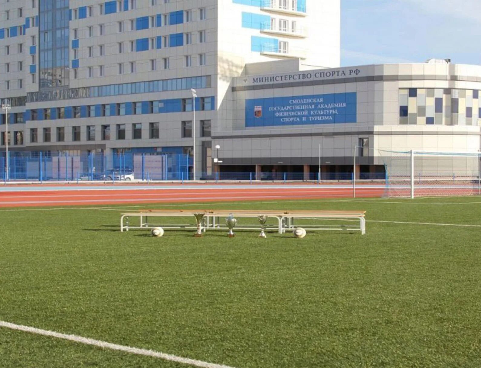 Смоленский университет спорта герб. Смоленский государственный университет спорта. Сайт смоленского государственного университета спорта. Смоленск спортивный институт. Смоленский государственный университет спорта.