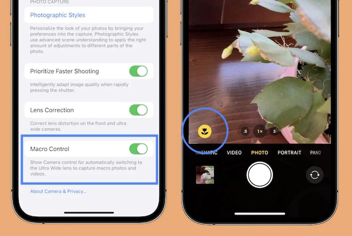 Переключатель макросъемки айфон. Макросъемка на айфон. Режим макросъемки на айфоне. Макрорежим iphone 13 Pro. Макро на айфон 13