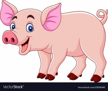 Сау анустың суреті