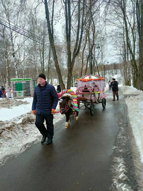 Медведь подслушивает. Подслушано в клину сегодня. 24 подслушано ми. Подслушано в клину вконтакте. Олень подслушано на прозрачном фоне.
