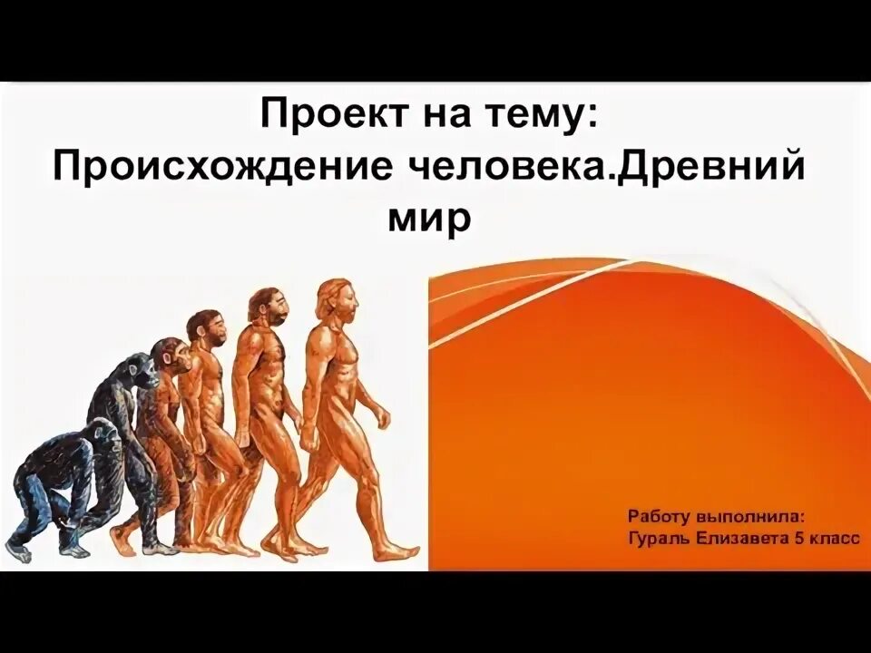 Тест по теме происхождение человека 8 класс. Тест по теме происхождение человека 8 класс